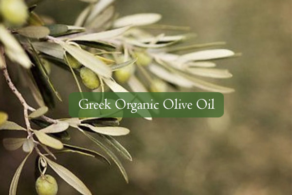 Olive Oil